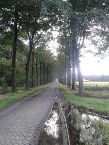 Picknickrit @ Schuttershof te Esbeek | Esbeek | Noord-Brabant | Nederland